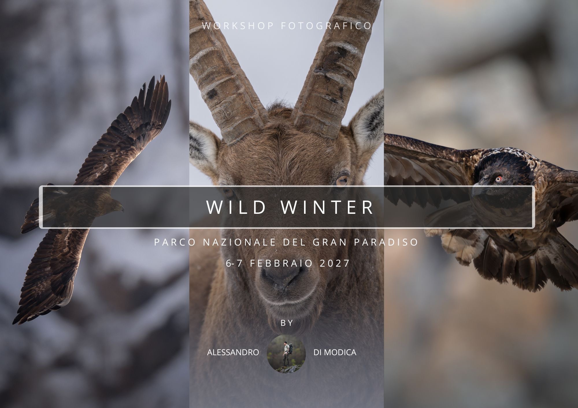 WILD WINTER 6-7 FEBRUARY 2027